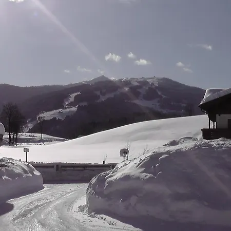 Apartamento Haus Maier Flachau