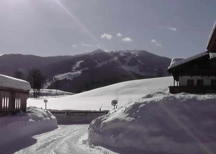 Apartamento Haus Maier Flachau