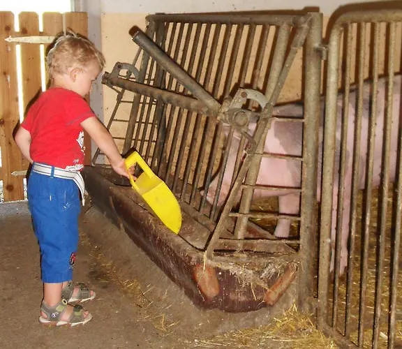 Apartament Haus Maier *